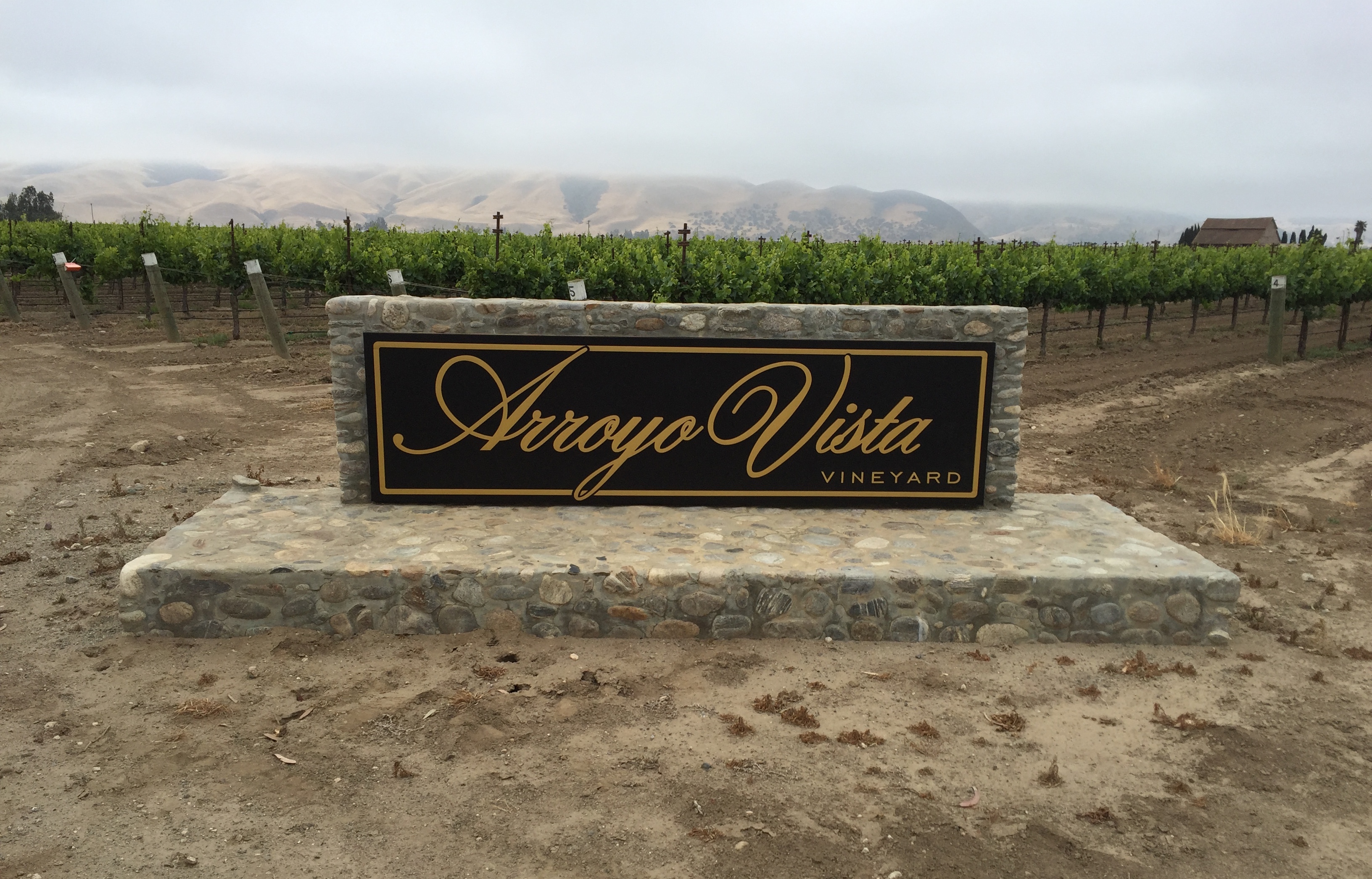 Arroyo Vista Vineyard – Greenfield, CA
